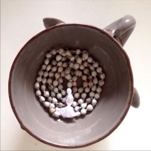 Vaijanta mala bead necklace.